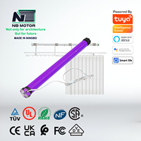 NB MOTOR REROAD 25mm 35mm 45mm Tuya WiFi Rf Motor Tubular Personalizable Motor Tubular para cortina de persiana enrollable motorizada