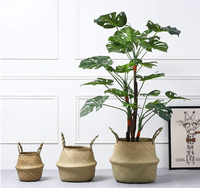 Panier de rangement écologique en jonc de mer avec poignées, tressé à la main, imperméable, pour plantes, couvertures, salon (D20*23cm)