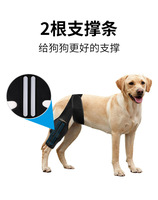 Attelle orthopédique pour le genou du chien, soutien ACL, manchon de récupération pour la patte de l'animal, réduit la douleur articulaire