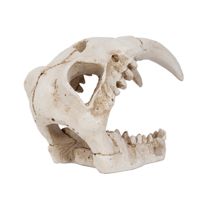 Tigre à dents <span class=keywords><strong>de</strong></span> <span class=keywords><strong>sabre</strong></span> en résine Huaqi pour modèle SKE35, peint à la main, réaliste, pour décoration intérieure, ornement d'Halloween avec motif <span class=keywords><strong>animal</strong></span> - Product Image 3