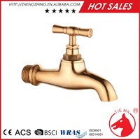 Types de robinet d'eau extérieur poli or