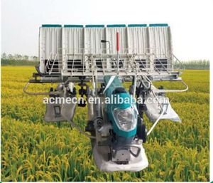 หม้อหุงข้าว4แถวพร้อมเครื่องยนต์เบนซิน - Product Image 4