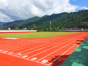 INOLP Alta calidad Full PU Running Track Made China Guatemala Instalación rápida Sin costuras Bajo mantenimiento Rentable - Product Image 3