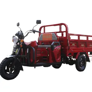New EEC CCC Custom 150CC 200CC Gasoline Three Wheeler Trike Open Cargo Tricycle Motorized Tricycles for Adult