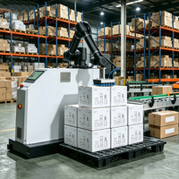 Peralatan Robot Pick and Place Anti-abrasion Kecepatan Tinggi untuk Pengemasan Karton Minuman Jangkauan Penuh, Robot Pengemas, dan Robot Palletizer