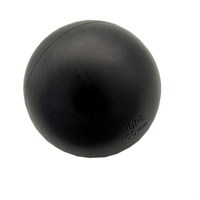 Boule d'ombrage noire en HDPE résistante aux UV de 100 mm pour la réduction de l'évaporation des réservoirs et le contrôle des algues