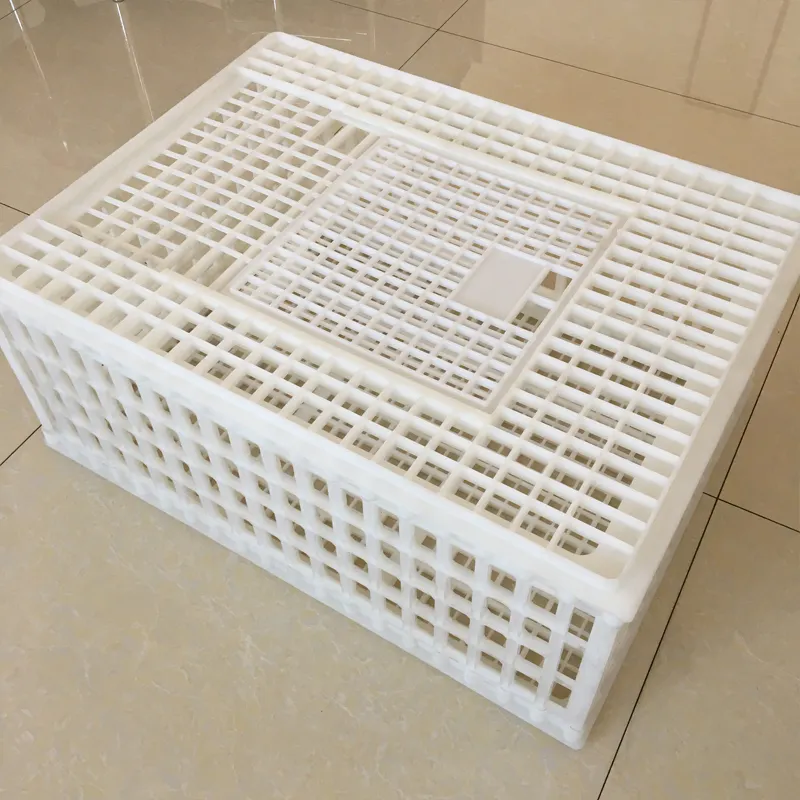 Caja de transporte de plástico para pollo, jaula o caja, superventas