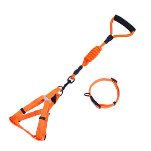 Poignée en <span class=keywords><strong>mousse</strong></span> d'explosion corde tressée laisse et collier solides pour animaux de compagnie pour chien en nylon - Product Image 1