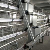 Équipement pour cages à volailles, système de nettoyage automatique des déchets pour 192 oiseaux, solution de production d'œufs commerciale, conception en acier Q235