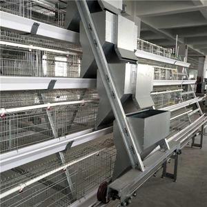 Équipement pour cages à volailles, système de nettoyage automatique des déchets pour 192 oiseaux, solution de production d'œufs commerciale, conception en acier Q235 - Product Image 2