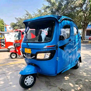 Tricycle électrique fermé <span class=keywords><strong>bleu</strong></span> à 3 roues 48V 501-800W pour <span class=keywords><strong>le</strong></span> transport urbain - Product Image 1