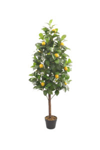 JWS3991 Plantas Artificiales Árbol <span class=keywords><strong>de</strong></span> Limón <span class=keywords><strong>Venta</strong></span> Directa <span class=keywords><strong>de</strong></span> Fábrica con Fruta <span class=keywords><strong>de</strong></span> Limón Plantas <span class=keywords><strong>de</strong></span> Hojas Verdes Decoración <span class=keywords><strong>de</strong></span> Paisaje - Product Image 6