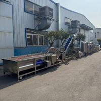 Automatische kleine schaal tomatenpuree-jam productielijn industriële saus-ketchup verwerkingsmachine