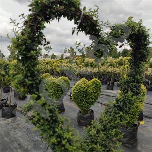 HOKBG-Sac de culture en plein air pour le jardin, gros, extérieur, 45, 50, 60, 200 gallons, PP tissé, plantes noires - Product Image 3