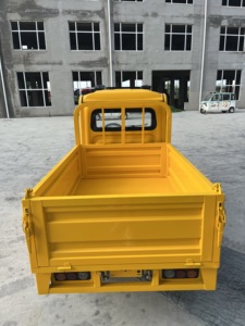 ESUN <span class=keywords><strong>Auto</strong></span> Elettrica Mini <span class=keywords><strong>a</strong></span> Due Porte Personalizzata per Casa e Trasporto Merci - Pickup Spedibile in Versione SKD o CKD Prodotto in Cina - Product Image 5