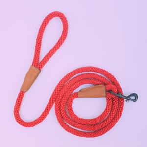 Laisse de traction pour chien avec corde intégrée, pour chien de petite, moyenne et grande taille, laisse fluorescente pour promenade de chien - Product Image 4