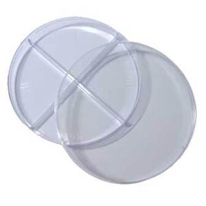 35Mm 60Mm 90Mm 100Mm 120Mm Bening Plastik Sekali Pakai Petri Dish Steril dengan Tutup untuk Persediaan Laboratorium Kimia - Product Image 2
