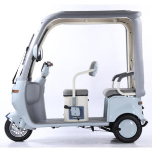 QSD Nouveau Design Écologique 1000W Véhicule Électrique Auto-Rickshaw Éco-Tricycle Passager E Tuk Tuk <span class=keywords><strong>Toto</strong></span> Scooter à 3 Roues - Product Image 4
