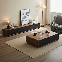 Console TV et table basse tout-en-un, unité murale mince pour maisons modernes et compactes, style minimaliste et rangement intelligent