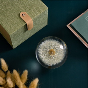 Özel 3D 7cm 8cm 9cm reçine orb doğal çiçek bitki gerçek karahindiba <span class=keywords><strong>Paperweight</strong></span> yılbaşı hediyeleri kristal cam ev dekor - Product Image 6