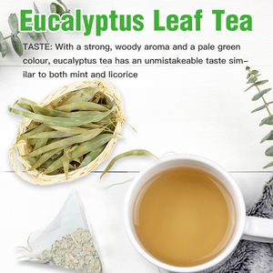 Thé aux <span class=keywords><strong>feuilles</strong></span> <span class=keywords><strong>d</strong></span>'<span class=keywords><strong>eucalyptus</strong></span> en vrac <span class=keywords><strong>de</strong></span> qualité supérieure Thé apaisant à base <span class=keywords><strong>de</strong></span> plantes Thé <span class=keywords><strong>d</strong></span>élicieux chaud Profitez du chaud ou du froid - Product Image 3