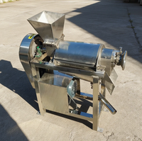 Hochleistungs-Spiralentsafter für Obst & Gemüse 220V 2200W für Industrielle Nutzung