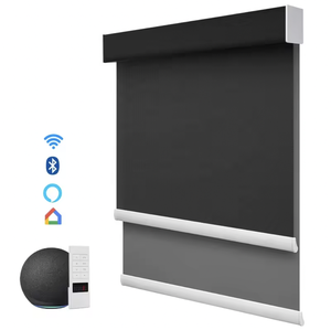 Double <strong>Black</strong> Day and Night Dual Blackout and Transparent Smart Motorized Roller <strong>Shades</strong> Blinds for Window Hotel Decoration - Product Image 1