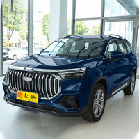 Pour Okavango 2.0T Turbo Essence, SUV 5 Portes 7 Places Grand Espace Boîte Automatique Haute Vitesse Fabriqué en Chine, Conduite à Gauche R15