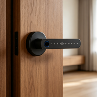 Cerradura Inteligente de Lujo con Cuerpo de Aleación de Zinc, Pestillo Único, Huella Dactilar, Bluetooth y Tuya para Apartamentos y Hostelería