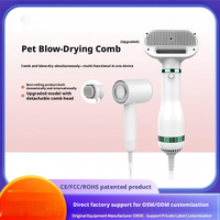 Sèche-cheveux et brosse 2-en-1 pour animaux de compagnie (chats et chiens) 300W, faible bruit, peigne de toilettage avec double flux d'air et tête de brosse lissante détachable