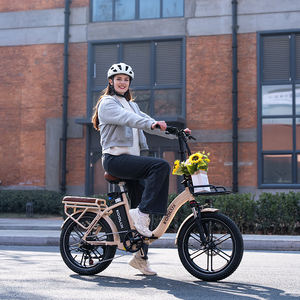 Bicicleta Eléctrica Plegable Popular al por Mayor con Batería de Litio, Motor Trasero sin Escobillas, Neumático Grueso de 20 Pulgadas, 25 km/h, Modelo Urbano para Adultos - Product Image 1
