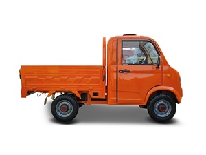 Miglior Veicolo Elettrico Economico per Trasporto Urbano, Micro Furgone Utilitario con Elevata Capacità di Carico e Design Compatto - Product Image 2