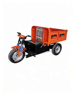 Triciclo Eléctrico Naranja de Tres Ruedas con Diseño Compacto para Transporte de Materiales - Product Image 1