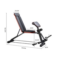Banc de musculation pliable et réglable pour abdominaux, taille et fitness, idéal pour la gym et l'entraînement à domicile