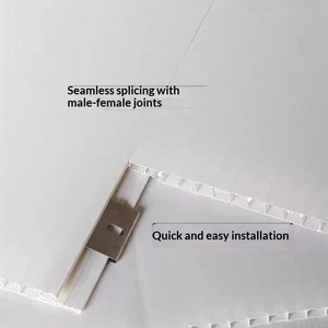 Pannello in PVC Spesso per Controsoffitto, Striscia Lunga Decorativa per <span class=keywords><strong>Cucina</strong></span>, Soggiorno, Bagno, Camera da Letto, Ecologico - Product Image 1