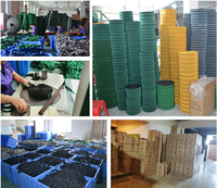 Sangle élastique en polypropylène sur mesure Hongyi, ruban rouge de 50 mm, bande élastique tissée pour canapé