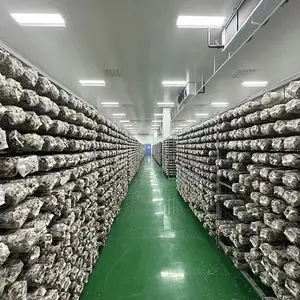 -5- +5 degree Mushroom Cultivating and Growing Cold Room Refrigeration Equipment Unit Cooler Mushroom Prefabricated Cold Room