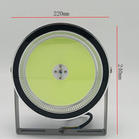 Lampe de pêche LED haute puissance 1000W pour l'Asie du Sud-Est, flottante, avec LED vert cyan lumineuses en haut, pour bateaux et applications marines.