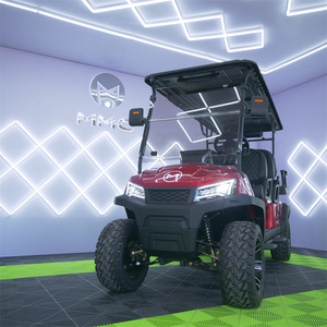 4X4高尔夫球车销售4轮驱动电动4WD狩猎高尔夫球车 - Product Image 3