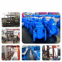 Vanne à opercule 5000 PSI DN15-DN100 en acier au carbone forgé, à brides et filetée, API6D, à tige montante, haute pression, pour tête de puits pétrolier et gazier, CE ISO