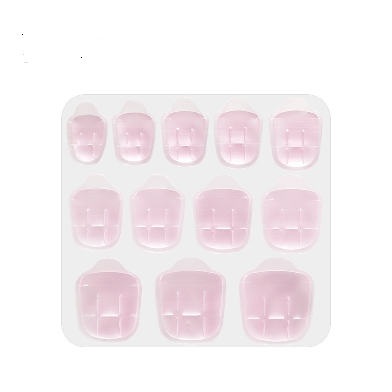 12pcs Rose