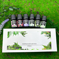Huiles essentielles 100% pures pour diffuseur d'arômes OEM 10 ml, huile d'orange, de lavande et d'eucalyptus, huiles d'aromathérapie, cadeau relaxant