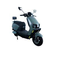 Trottinette électrique à grande vitesse 60 V 1000 W Batterie au plomb-acide Trottinette électrique à deux roues pour adultes