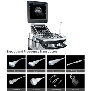 Tıbbi hastane tanı sistemi taşınabilir ultrason tarayıcı 3D 4D 5D renkli Doppler arabası ultrason makinesi