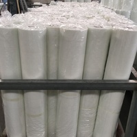 Tissu de maille de fibre de verre de stuc de plâtre résistant aux alcalis d'EIFS pour l'isolation de mur