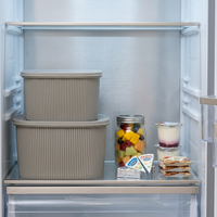 Lot de 2 boîtes de rangement verticales à rayures, hermétiques, pour conserver les aliments frais, pour réfrigérateur, pique-nique, préparation de repas
