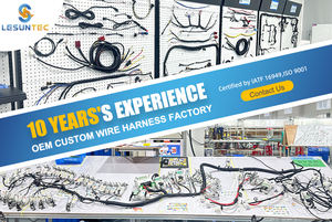 Lsun สายเคเบิลต่อขยายแบบเต็มรูปแบบ16ขา16คอร์ OBD2รถยนต์ยาว1ม. ออกแบบได้ตามต้องการ - Product Image 6