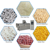 Nouvelle machine extrudeuse à double vis pour riz artificiel, lignes de production automatiques de riz artificiel, machine de fabrication de riz nutritionnel