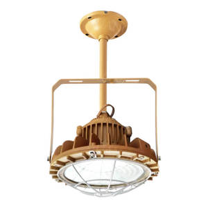 <span class=keywords><strong>Exd</strong></span> II CT6 chống cháy nổ Led ngoài trời không thấm nước nhôm đúc 30W-200W bay cao ATEX 50W 100W 150W 200W 240W Đèn lũ - Product Image 5