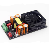 Amplificateur numérique haute puissance HIFI Fever Mono 1000W, carte d'amplification de scène, module électronique, carte d'amplificateur audio